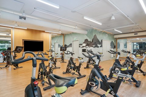 a gym with various exercise bikes and a mountain mural on the wall